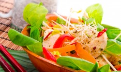 Suspendisse arcu nisl